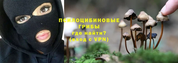 apvp Богородск