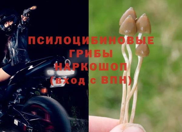 соль курить ск Богородицк